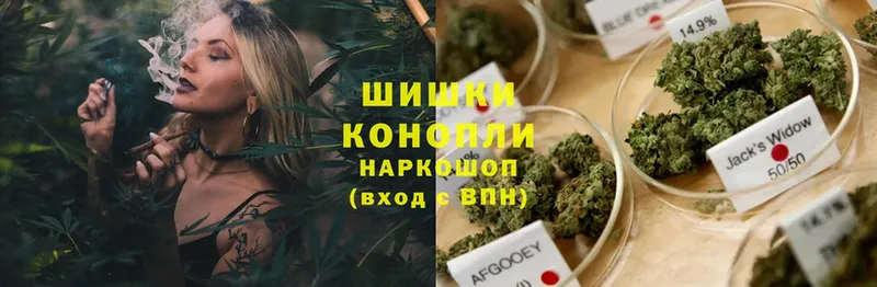 магазин продажи наркотиков  Ленск  Конопля Amnesia 